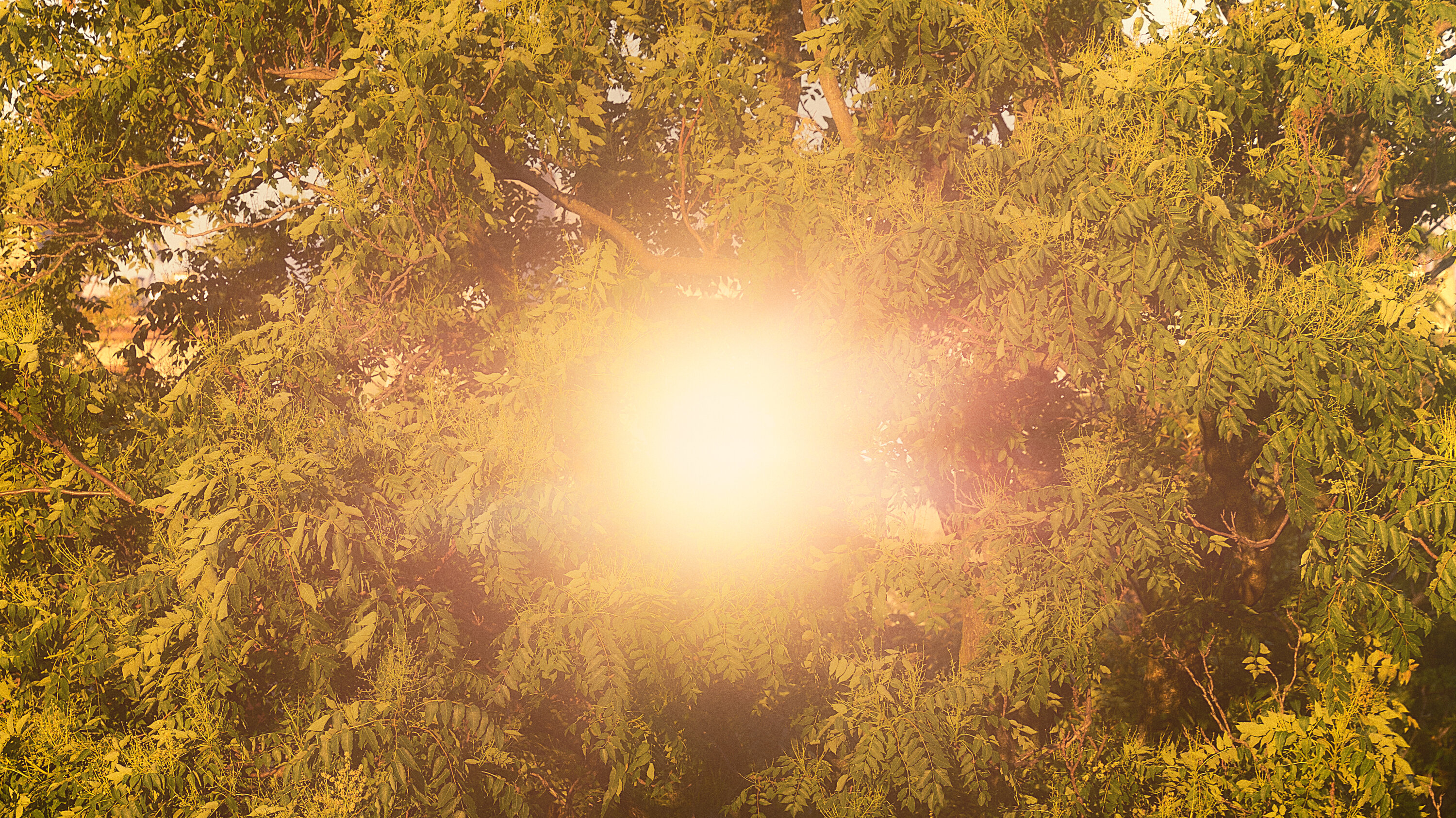 abrahamcho's tweet card. The word “faith” implies the possession of something, whereas I experience faith as a yearning for something beautiful that I can sense but not fully grasp.