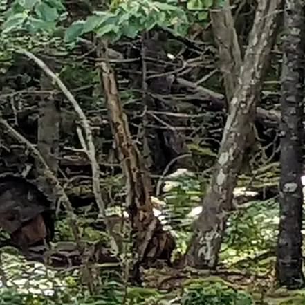 linux_rulz's tweet card. Jeff Hanscom (@jdhanscom) • Instagram photo