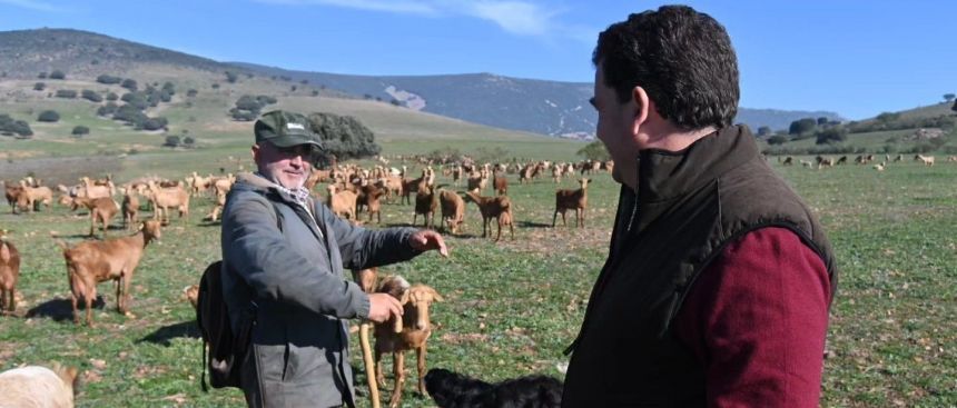rchamode's tweet card. Las movilizaciones de agricultores y ganaderos inundan las carreteras de Europa y también de España Las razones de la protesta son el Pacto Verde, la