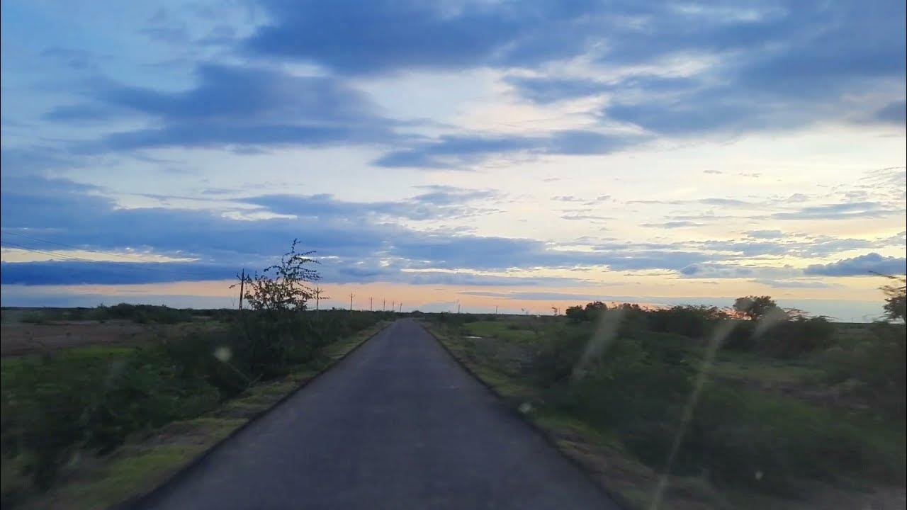 Pankaj_josh's tweet card. કાળિયાર રાષ્ટ્રીય અભ્યારણ્ય રોડ ભાવનગર Blackbuck: velavadar national...