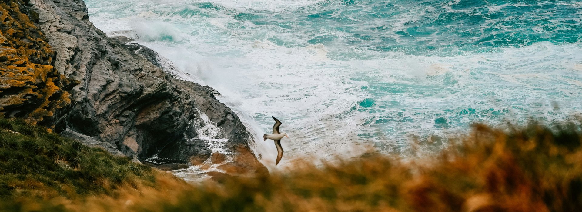 browserlondon's tweet card. We designed and developed the strategy, content, and platform to help people relocate to the unique lifestyle of the Falkland Islands