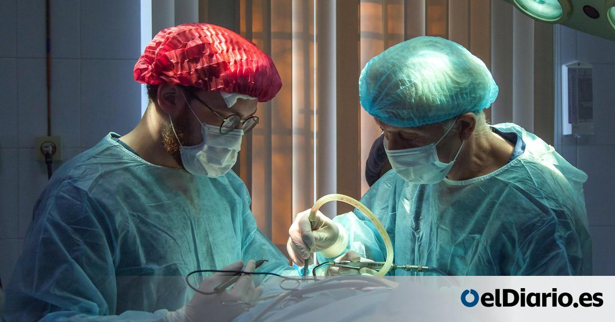 ONT_esp's tweet card. Ante la escasez de órganos jóvenes, la ciencia inicia el camino para rejuvenecer órganos de donantes de edad avanzada eliminando las células senescentes mediante senolíticos