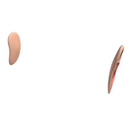 TaikaUGC's tweet card. Customize your avatar with the Super duper cool ears and millions of other items. Mix & match this hat with other items to create an avatar that is unique to you!