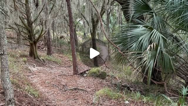 VCSLearn2Tech's tweet card. Michael Anthony (@macicchetti) • Instagram photos and videos