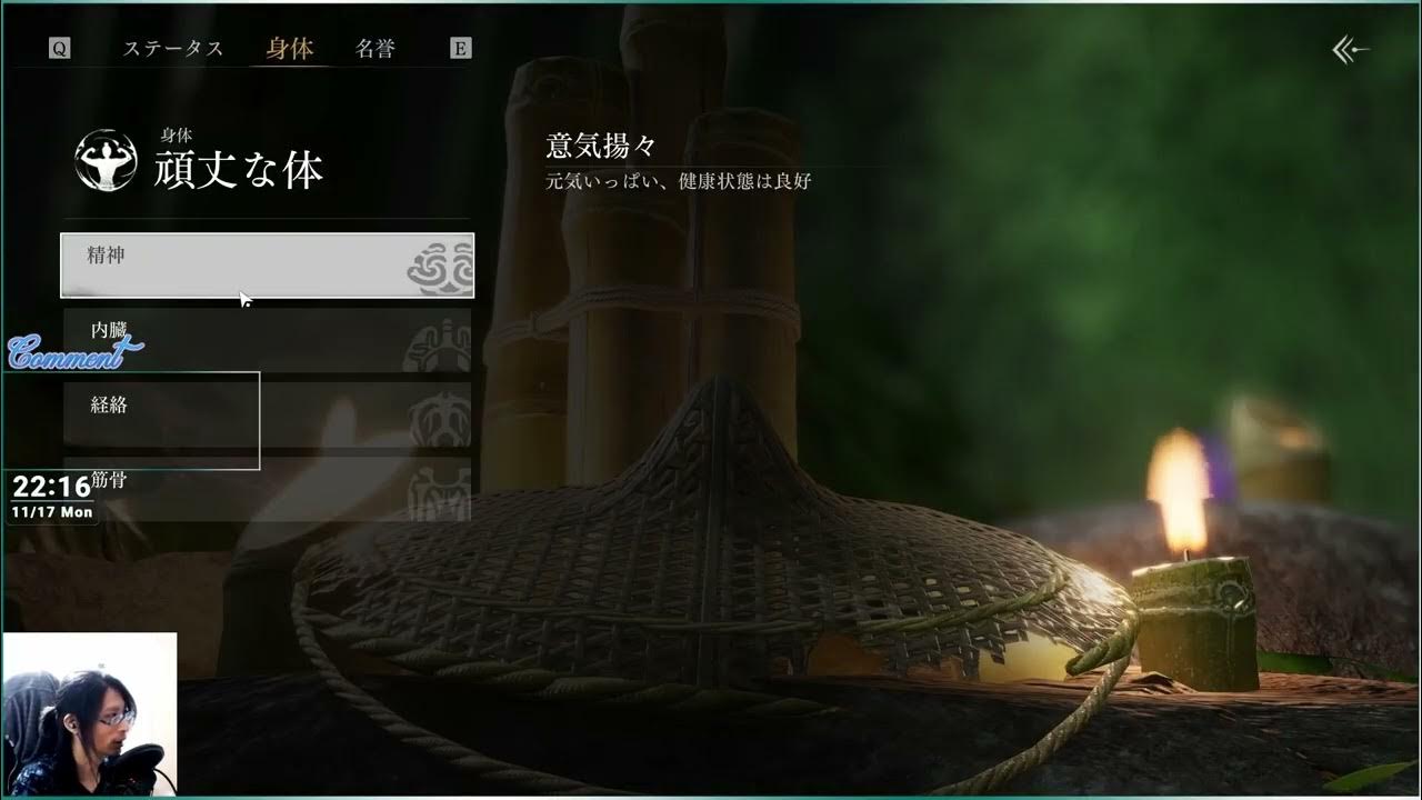 magpie_code's tweet card. 風燕伝：WhereWindsMeet ついにリリース