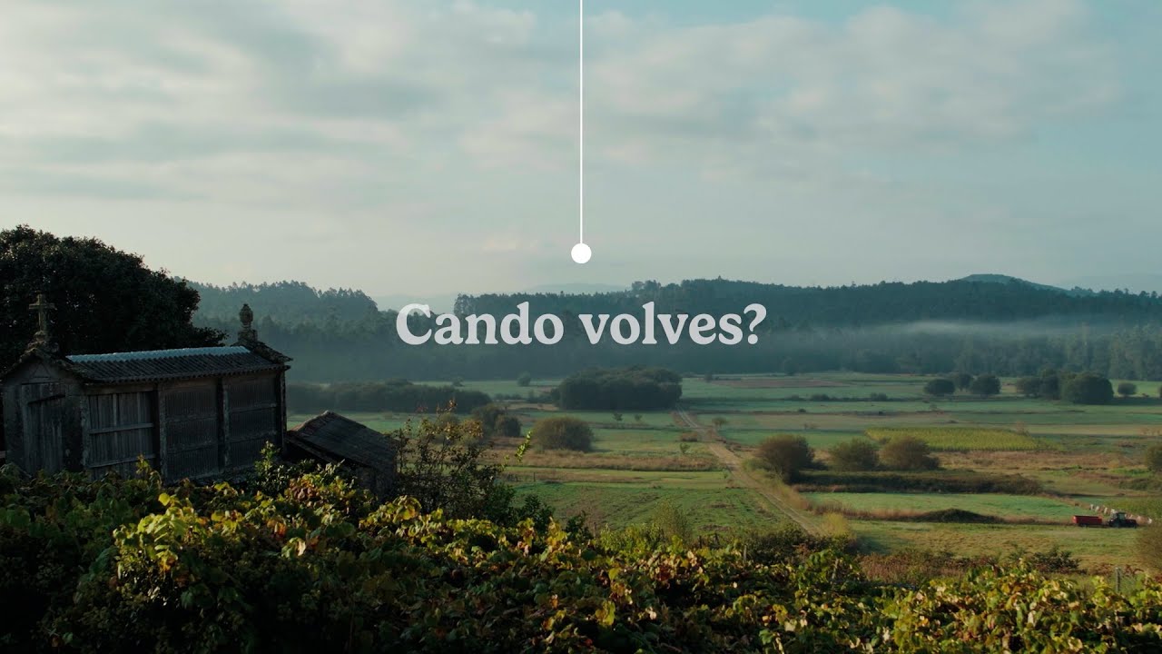 neumaticosjorge's tweet card. Cando volves?