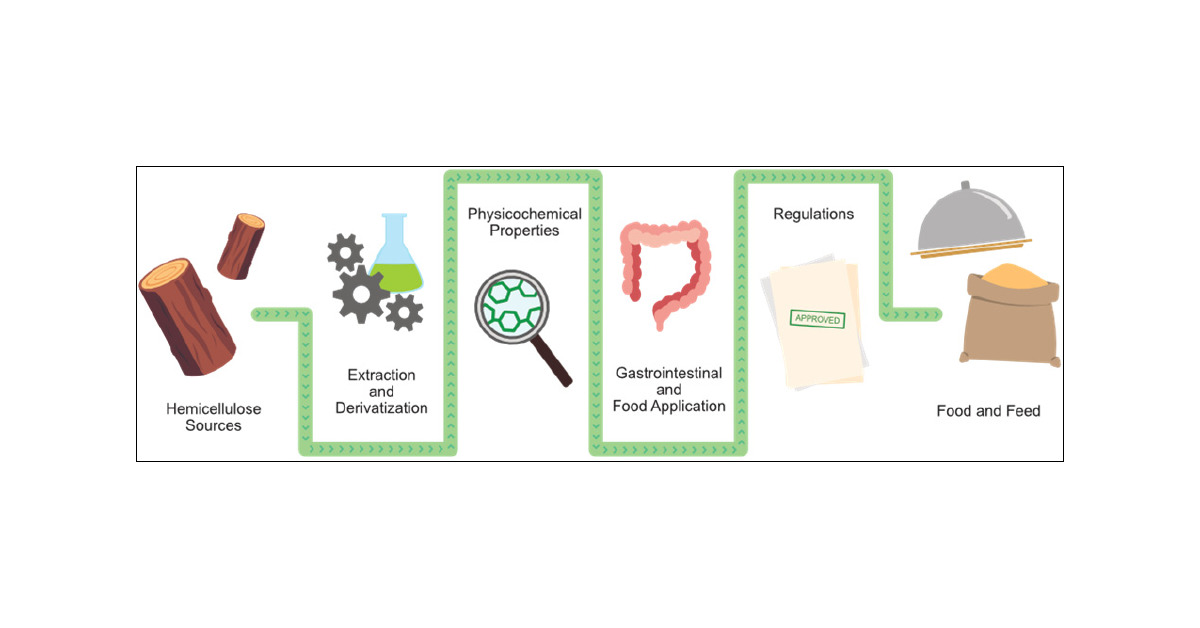 BioRef_NMBU's tweet card. A holistic utilization of all lignocellulosic wood biomass, instead of the current approach of using only the cellulose fraction, is crucial for the efficient, ecological, and economical use of the...