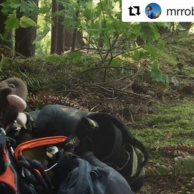 twoOgres's tweet card. two Ogres (@twoogres) • Instagram photo