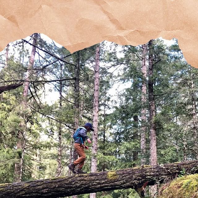 HumanNatureCS's tweet card. Human Nature Counselling (@human.nature.counselling) • Instagram photo