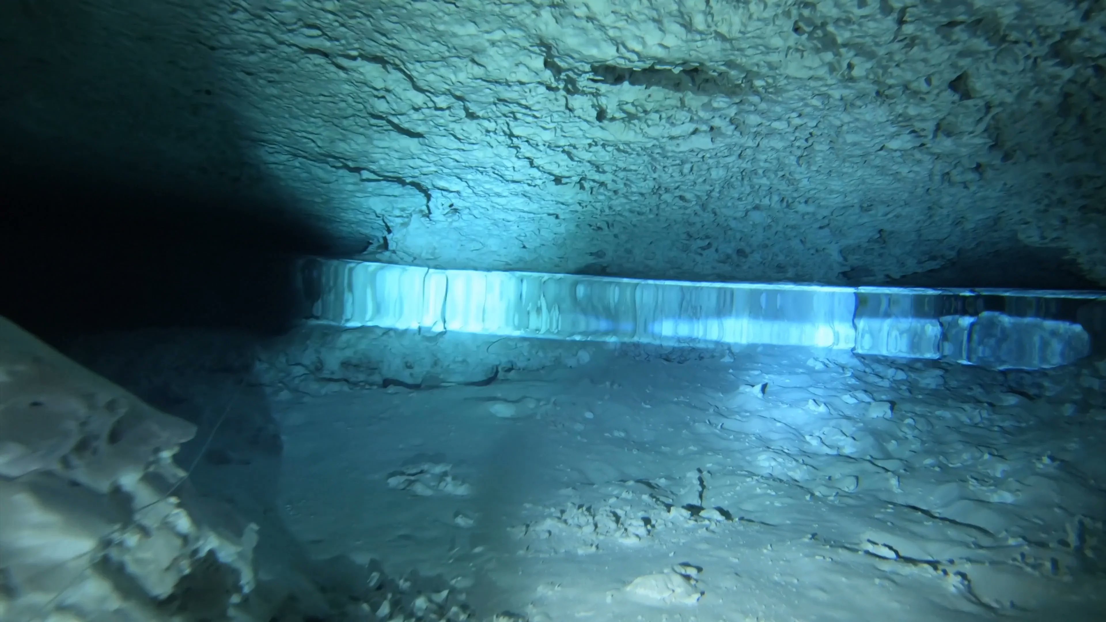 diversundergrou's tweet card. Cave Diving - Halocline in Mexico