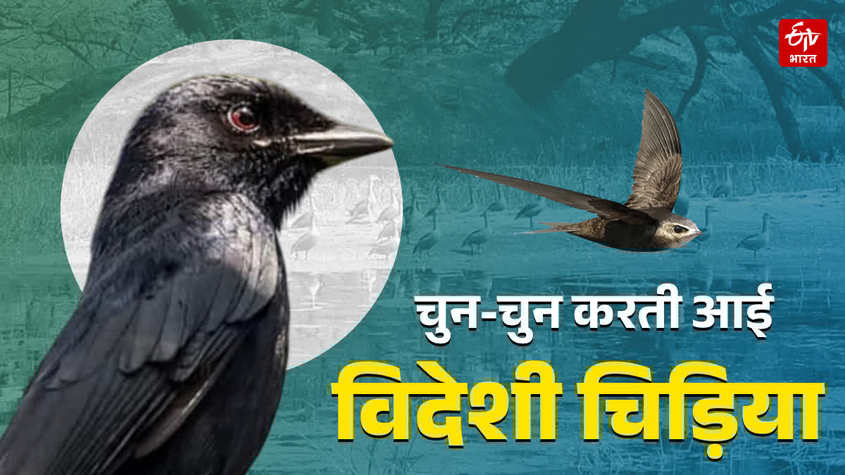 mishra_c's tweet card. यूपी के बेहतरीन टूरिस्ट प्लेस में शामिल हैं, जानिए किस जिले में कौन सी जगह है ये वेटलैंड.