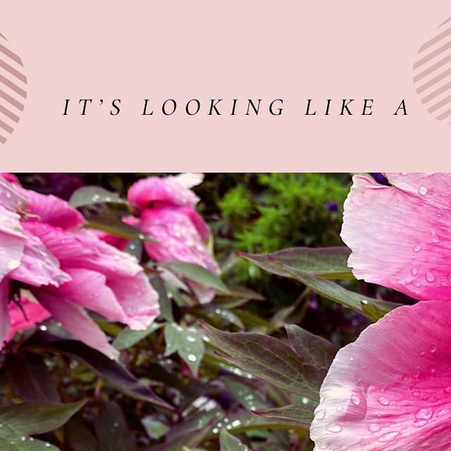 HumanNatureCS's tweet card. Human Nature Counselling (@human.nature.counselling) • Instagram photo