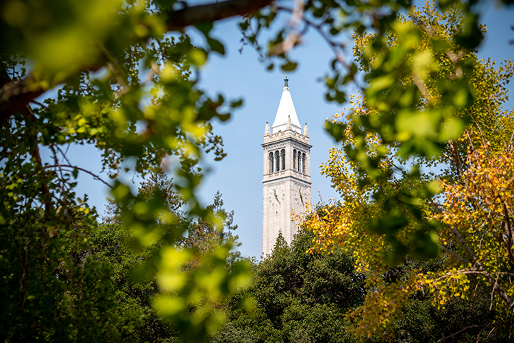UCBerkeley's tweet card. "Students, staff and faculty of Iranian descent, and those with ties to Iran and other parts of the Middle East are invaluable members of our Berkeley community," leaders write