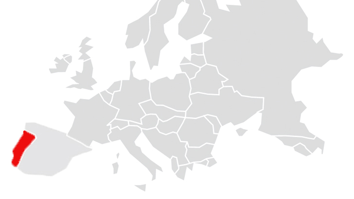 BSSource's tweet card. Since Mother Nature plays such a vital role in surfing, in the last Portuguese Market Insight, we wrote that weather can be the beauty or the beast of this industry. Well, the beast came to show its...