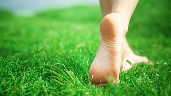 VasundharaVK's tweet card. ఈ రోజుల్లో చాలామంది స్థూలకాయం, మధుమేహం, పీసీఓఎస్‌.. వంటి పలు రకాల దీర్ఘకాలిక ఆరోగ్య సమస్యలతో బాధపడుతున్నారు. శారీరక శ్రమ తగ్గడం, జీవనశైలి మార్పుల వల్లే ఇలాంటి సమస్యలు చుట్టుముడుతున్నాయని నిపుణులు...