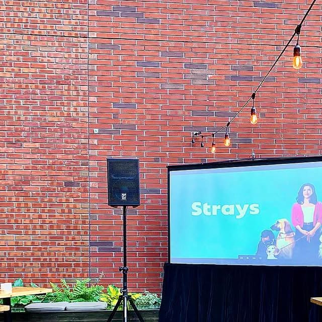 DirectAV's tweet card. Direct Audio Visual (@directaudiovisual) • Instagram photos and videos