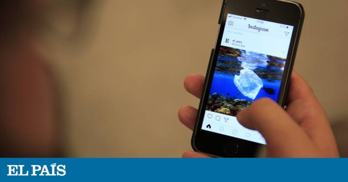 webversusweb's tweet card. Facebook y Whatsapp son las redes más utilizadas, pero es Instagram la que gana más usuarios