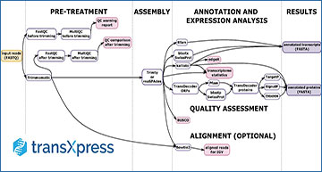 RNASeqBlog's tweet card. RNA-seq followed by de novo transcriptome assembly has been a transformative technique in biological research of non-model organisms, but the computational processing of RNA-seq data entails...