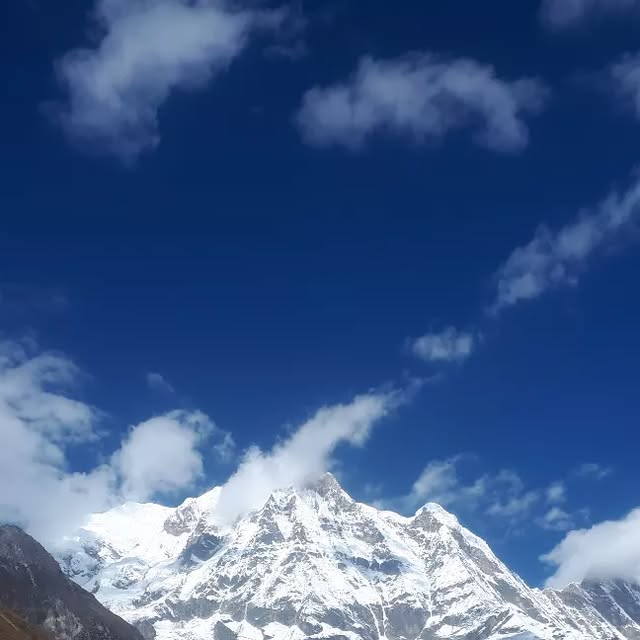 AExtinct's tweet card. Ankit Suresh (@hcwaks) • Instagram photo