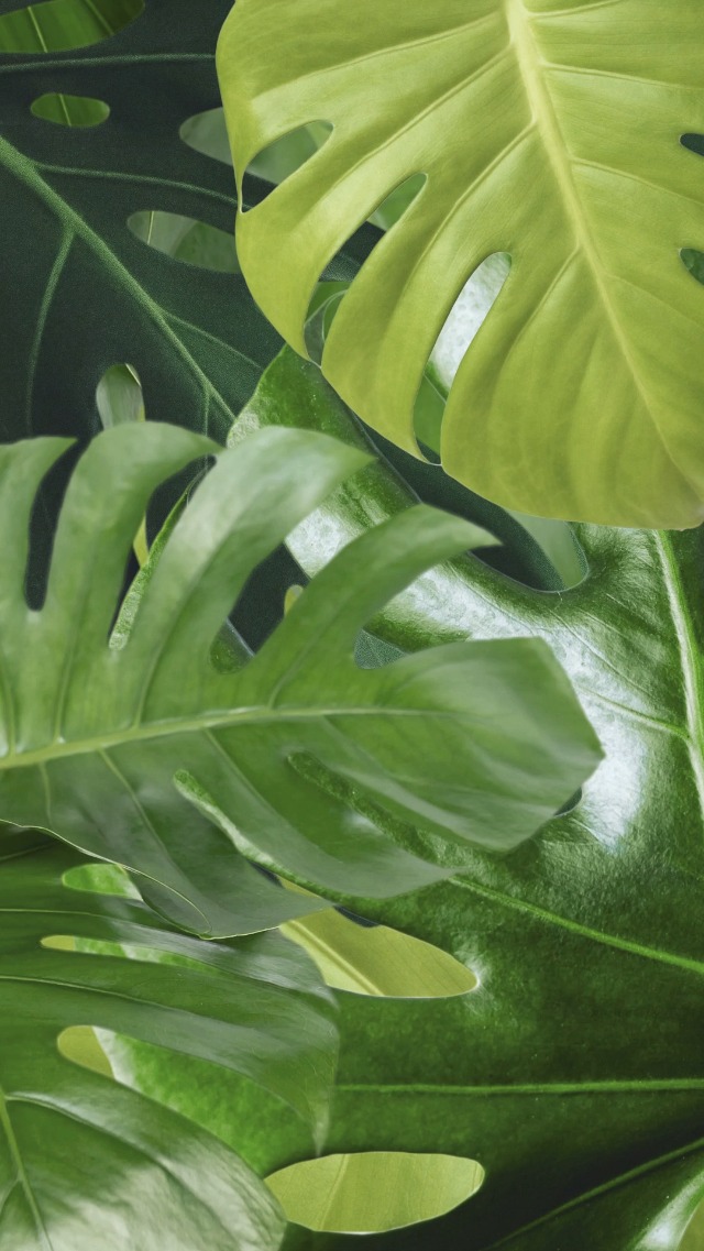 Design_Hub45's tweet card. Shop with expert advice from suana in their latest video Life Is Really Good Pineapple Sunglasses Aloha Beaches Hawai.