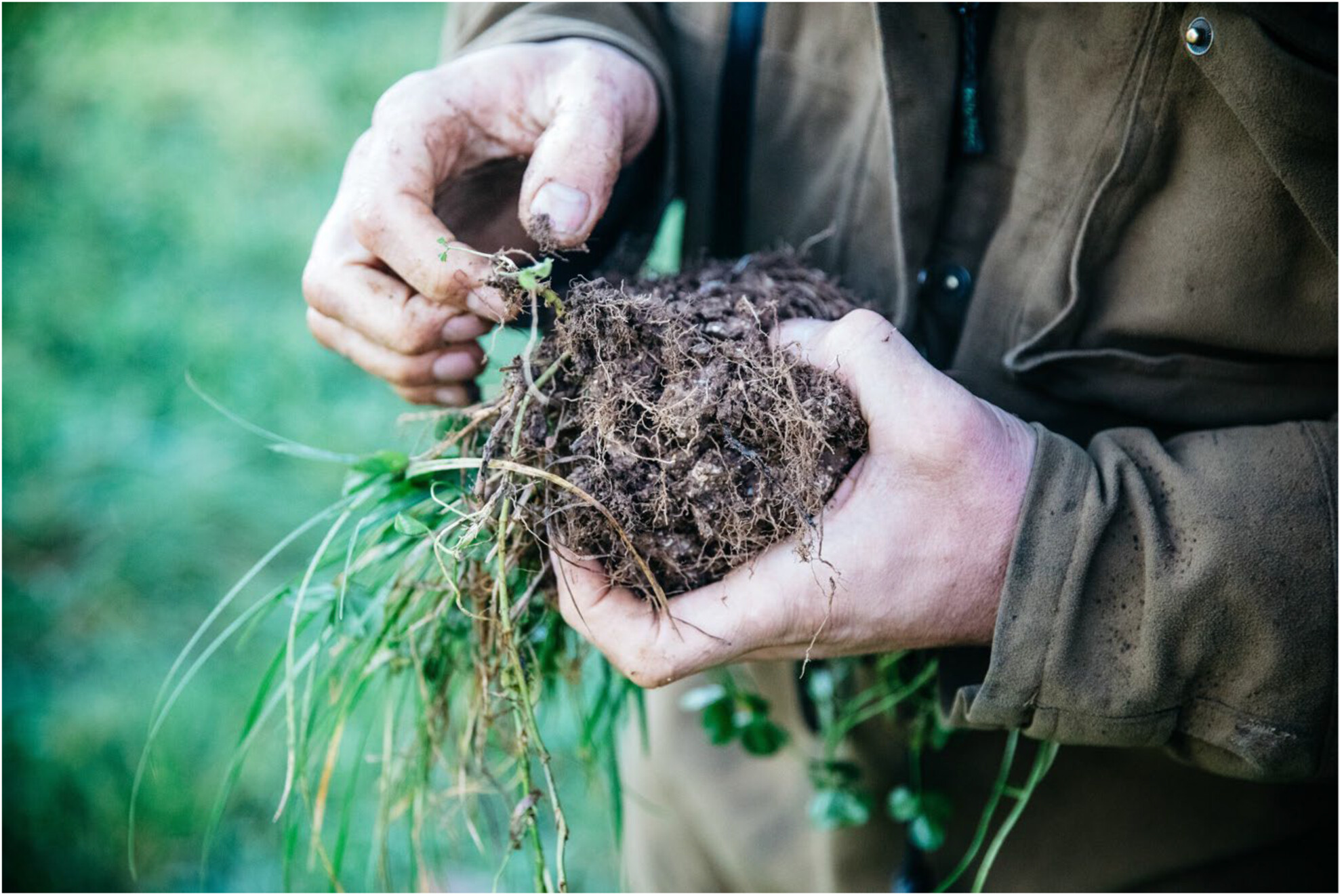 annie_welden's tweet card. Through empirical study of the regenerative agricultural movement, this paper reflects on how regenerative farmers use different sites (fields, soils, livestock stomachs) to apprehend their agro-et...