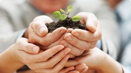 BerwickTMasters's tweet card. Emerald Preschool Save Our Kinder's Backyard