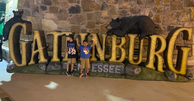 Tweet card summary image