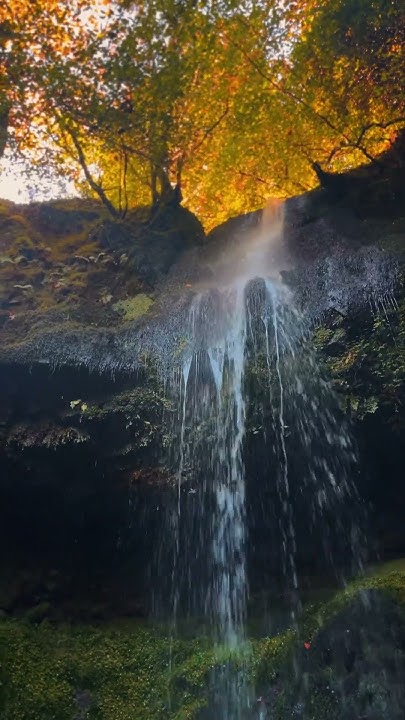 sosoq8q8's tweet card. Craigie Linn is a hidden gem worth the stroll.🍂✨ #scotland #travel...