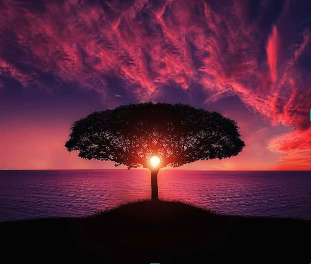 Decide2develop's tweet card. In deze 5 daagse Purpose Challenge ontdek je wat het leven van jou wil. Sta je op een kruispunt in je leven en wil je meer van betekenis zijn? Meld je dan aan!