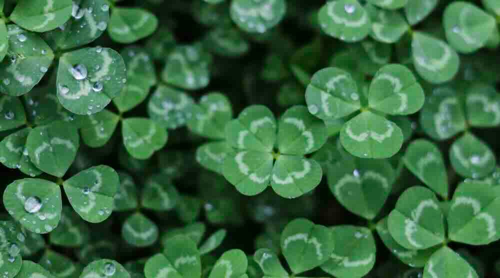 Decide2develop's tweet card. Verlang je er ook naar om achter jouw purpose te komen? Hoe kom je achter jouw purpose en wat is het precies?