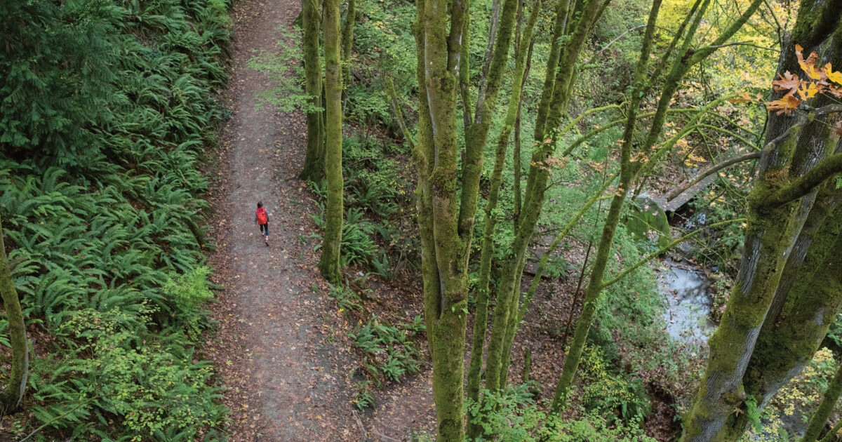 NationalForests's tweet card. Forest bathing combines elements of intentional observation with a purposeful focus on the present. Unlike other nature-based sports like hiking or trail…