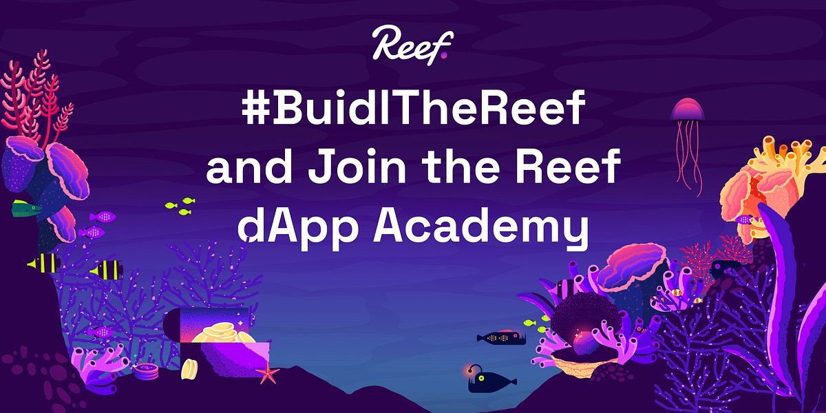 Reef_Chain's tweet card. Reefian developers, we’re looking for you to help Web3 developers #buidlthereef. Share your dApp journey with our community and us! Submit…