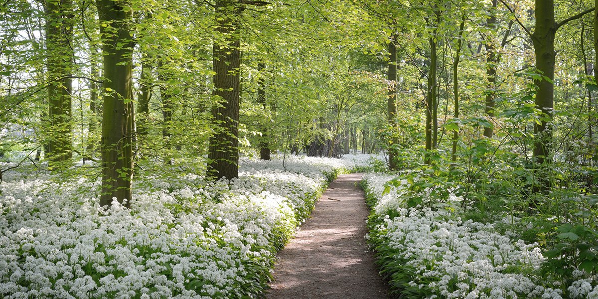 CAPinside's tweet card. Indexmonitor Januar 2023: Es grünt so grün – Börsenfrühling im Januar
