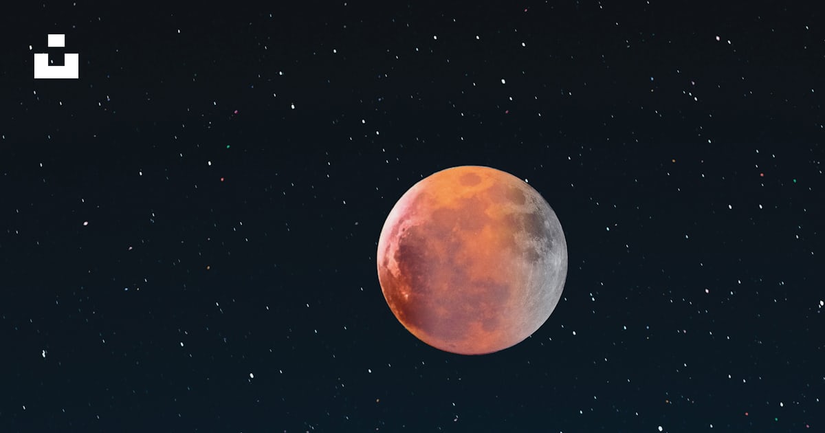 mimithecook_'s tweet card. Download this photo by Tim Sessinghaus on Unsplash