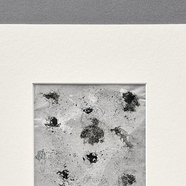 charcotstudio's tweet card. Fife Contemporary (@fifecontemp) • Instagram photos and videos