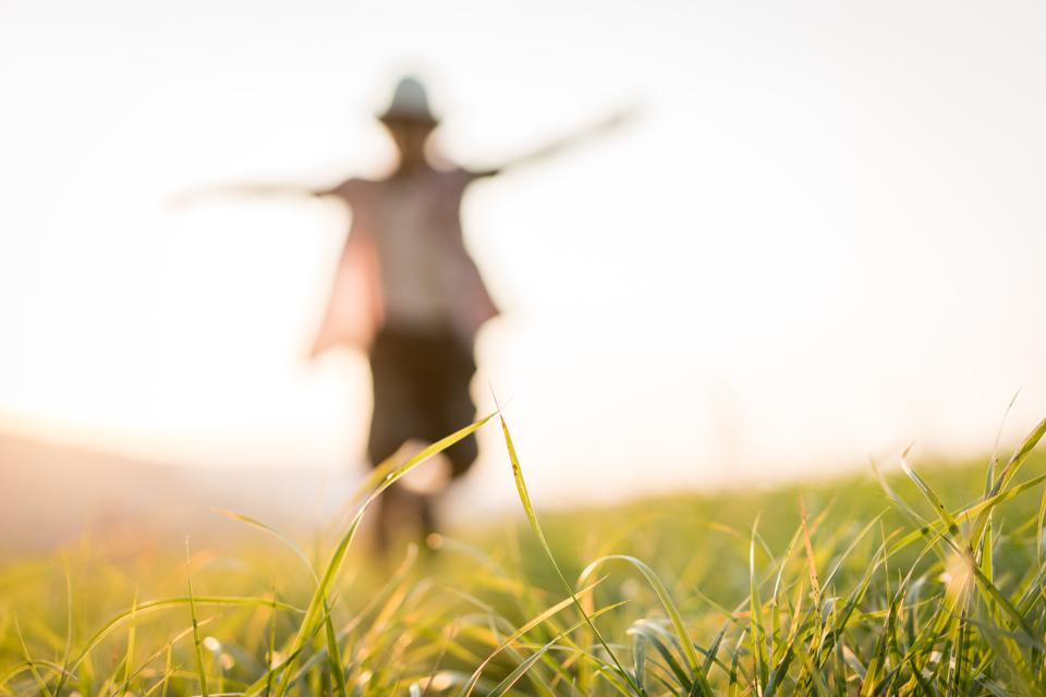 InstaTipsClips's tweet card. For those with an eye on early retirement before age 65, it helps to break your retirement planning into two phases: before retirement and after retirement. By planning for each phase, you can move...