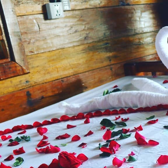 treehouse_kr's tweet card. Treehouse Bungalows (@treehouse_kohrong) • Instagram photos and videos