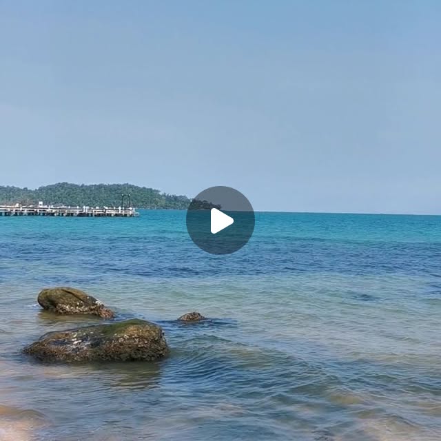 treehouse_kr's tweet card. Treehouse Bungalows (@treehouse_kohrong) • Instagram video