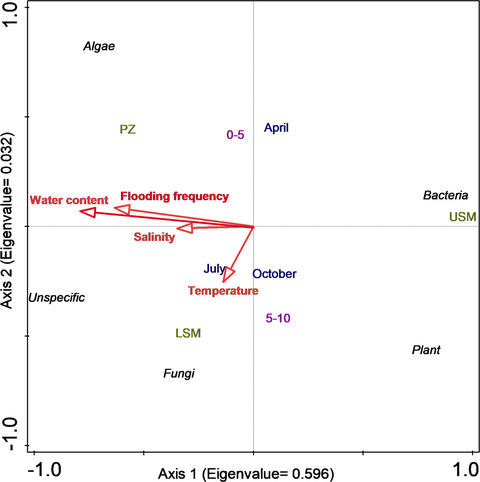 maria_rinke's tweet card. We investigated salt marsh soil microbial community dynamics across spatial scales—shore height and soil depth—as well as temporal scales (spring, summer, and autumn). Spatial dynamics were the...