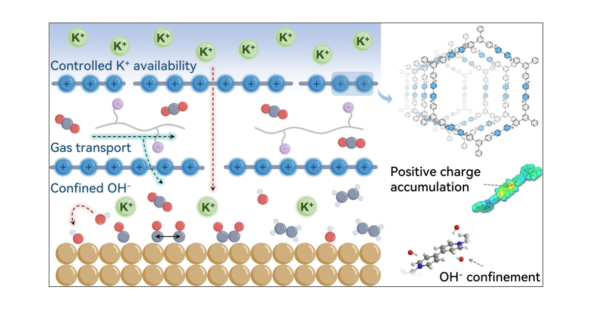 J_A_C_S's tweet card. Electrosynthesis of multicarbon products, such as C2H4, from CO2 reduction on copper (Cu) catalysts holds promise for achieving carbon neutrality. However, maintaining a steady high current-level...