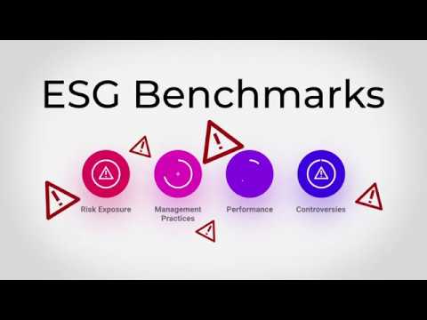 MacIntoshGroup's tweet card. What Is ESG Investing?