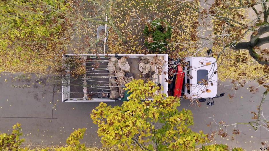 PEDRRnetwork's tweet card. Berlin is one of the greenest cities in Europe. Among the initiatives aimed at keeping it that way is an "urban climate tree" planting campaign.