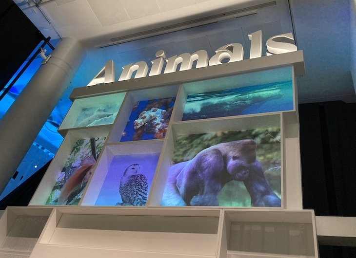 Londonist's tweet card. An exhibition on the history of animal depictions and recordings.