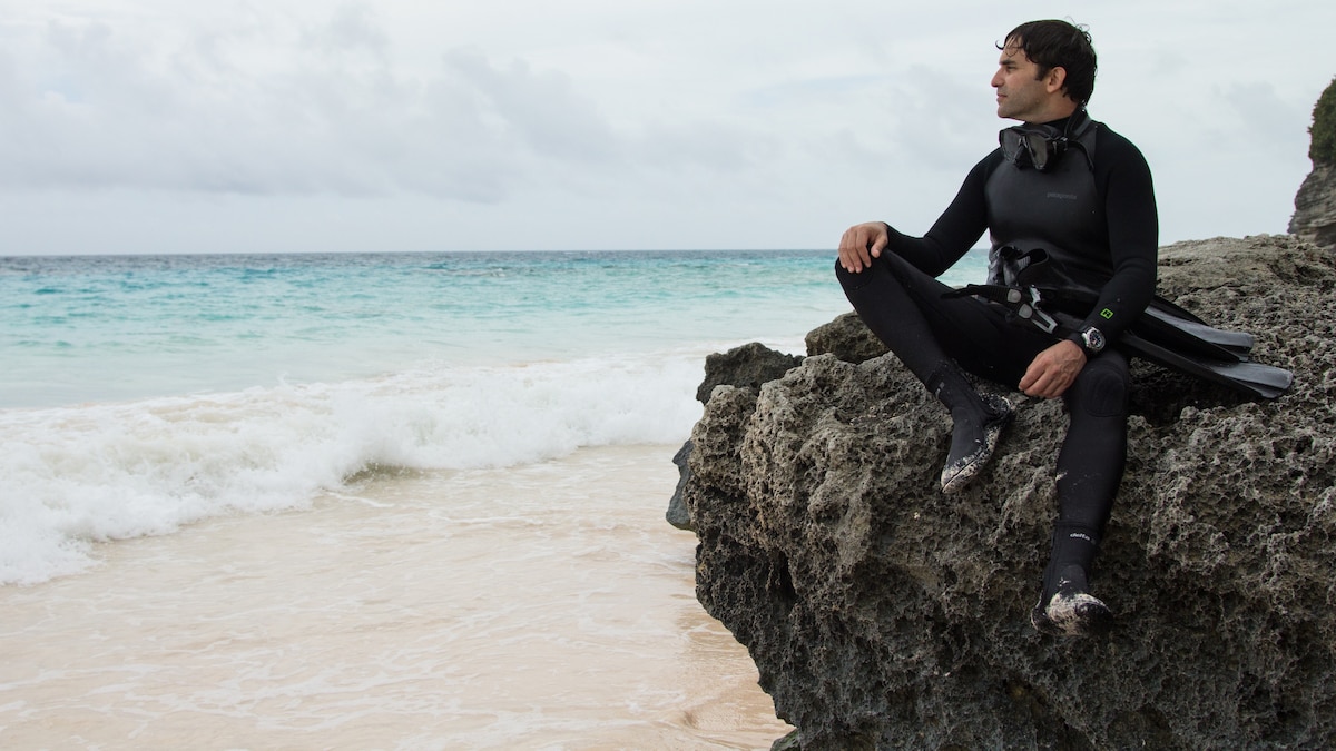 NatGeo's tweet card. National Geographic Explorer David Gruber and his team are taking a delicate approach to understanding sperm whales.