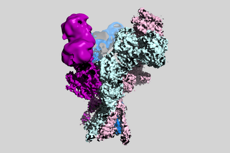 NeuroscienceNew's tweet card. Researchers have revealed the 3D structure of NMDA receptor molecules that are critical for brain health. NMDA receptors are believed to contribute to a range of neurological and psychiatric disord...