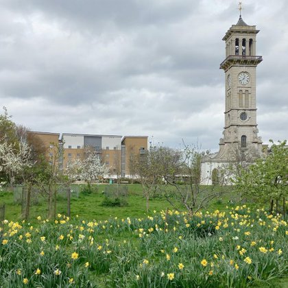 Tweet card summary image