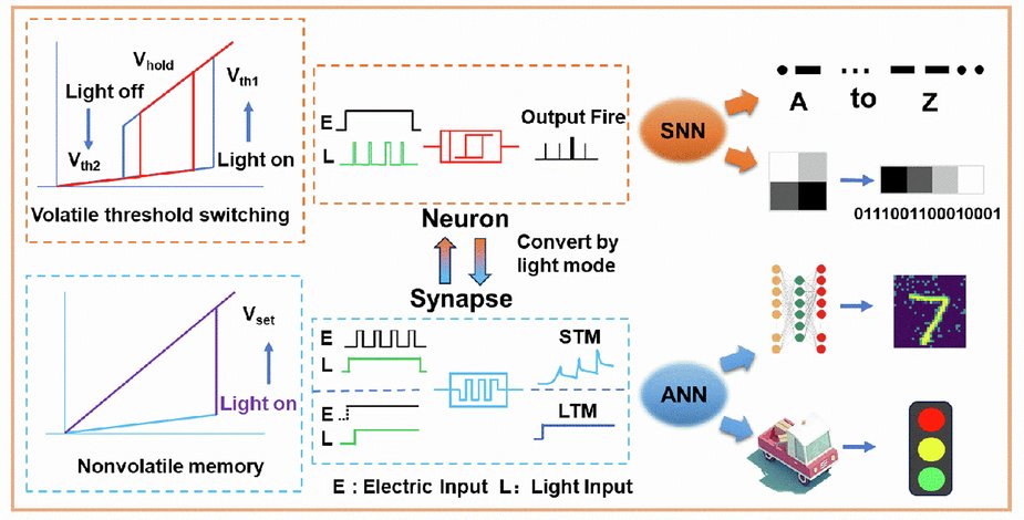 LightSciAppl's tweet card. Light: Science & Applications - Photonics reconfigurable memristor simulate volatile and non-volatile properties to achieve dynamic modulation of neurons and synapses and demonstrate...