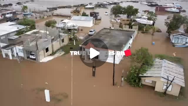 TCIPNP's tweet card. Jameka Williams (@hon._jameka_williams) • Instagram reel