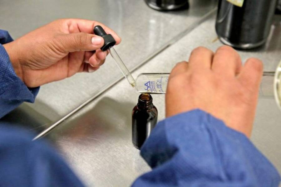 ContraReplicaEM's tweet card. Rescata UIEM conocimiento de los pueblos originarios a través de la medicina tradicional