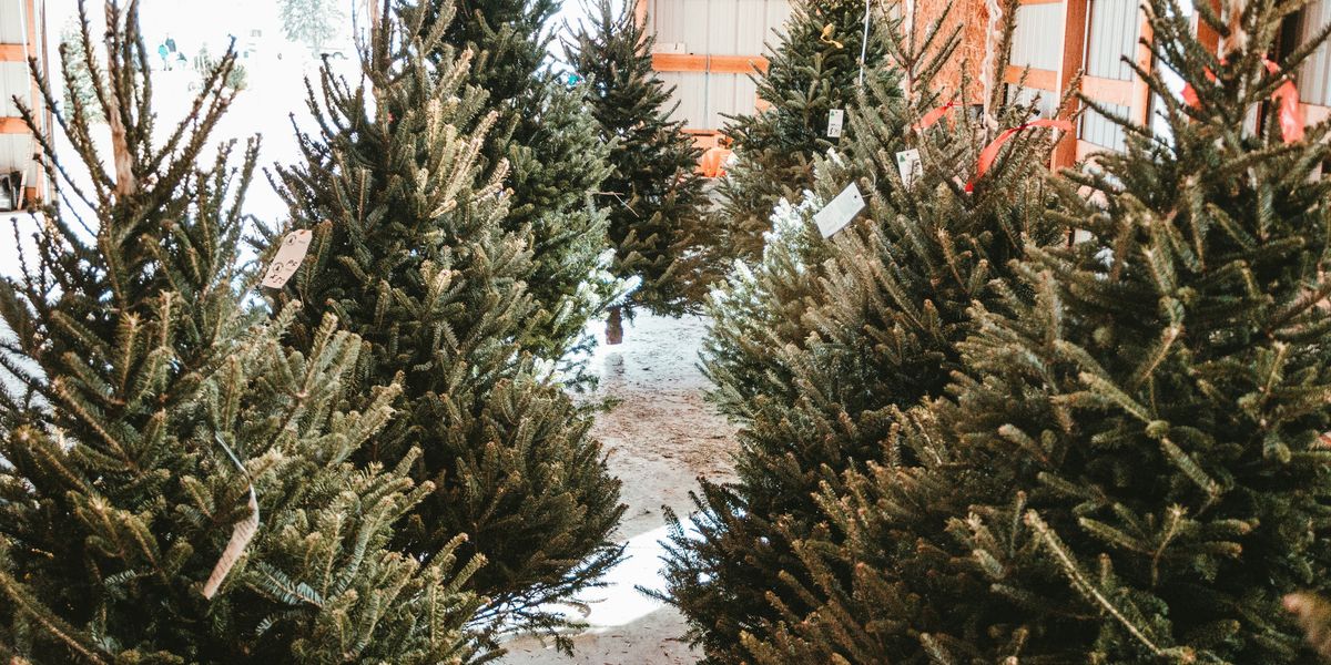 plainfx's tweet card. Learn simple yet profound ways that growth-oriented business owners can successfully jump off the seasonal roller coaster and thrive year-round.